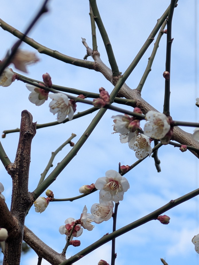 PXL_20260211_010120502