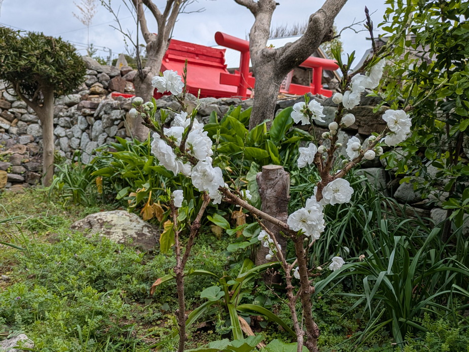 PXL_20260401_015127866